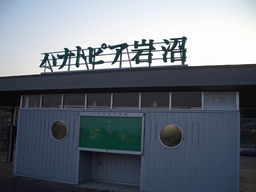 nigsA
